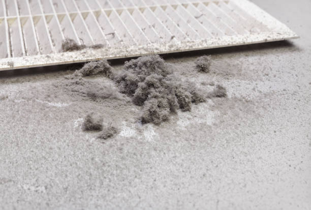 Best Affordable Air Duct Cleaning  in Halfway, MD
