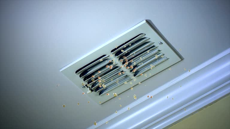Best Ventilation Cleaning Services  in Halfway, MD